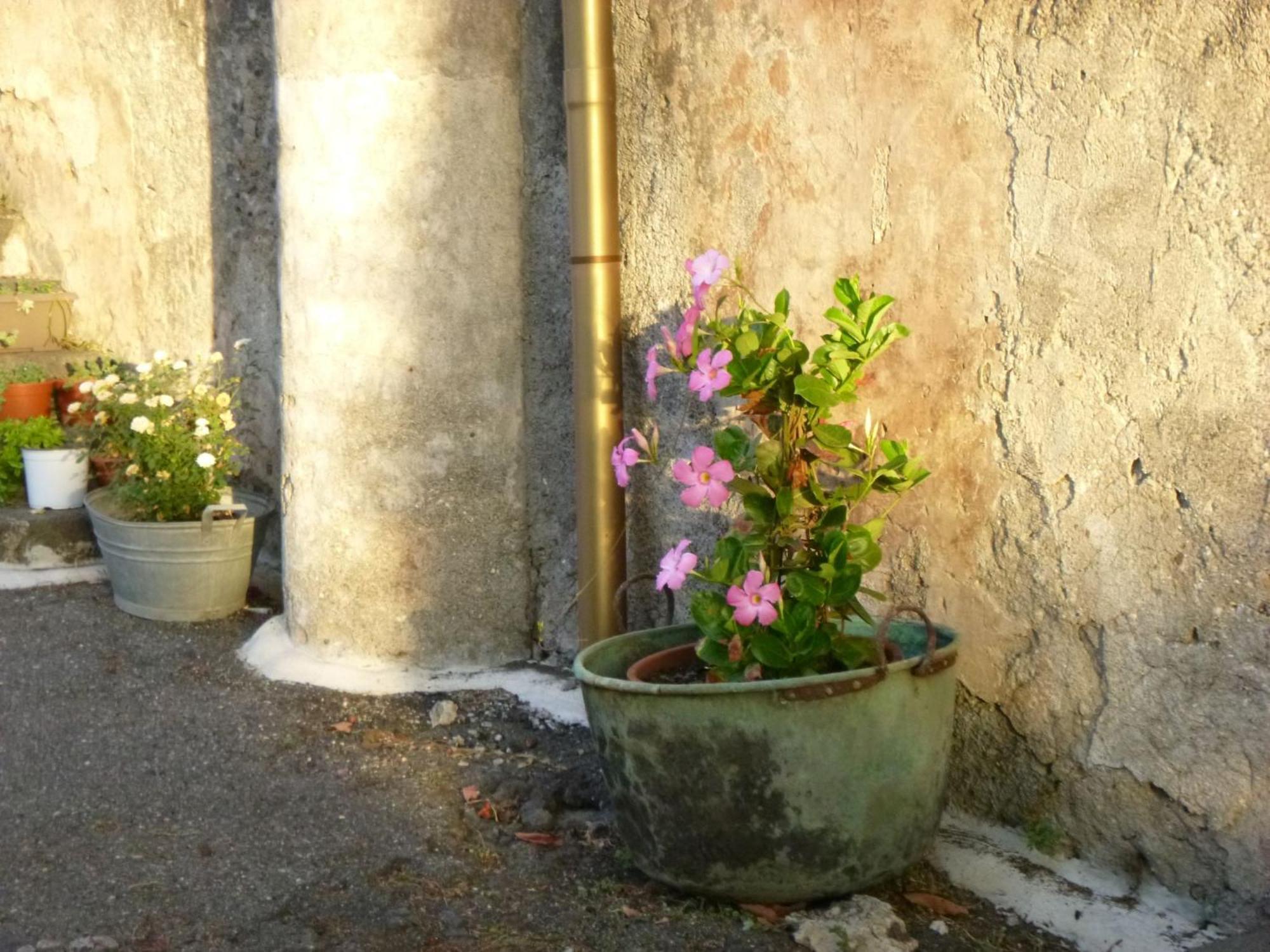 Baglio Delle Rose Acomodação com café da manhã Giarre Exterior foto